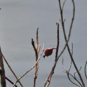  Ecuador